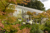 The Quiet Glasshouse