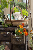 Cabinet planter