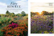 The English Garden August 2025