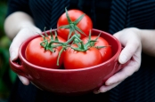 Tomatoes in red dish