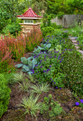 Heidi Heiland's Garden 