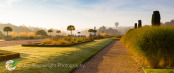 Hot Air balloon over Trentham Gardens