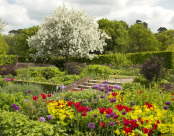 A Riot of Spring Colour at RHS Wisley