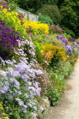 Summer Herbaceous Border