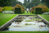 The Lily Pond, Waterperry Gardens