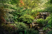Forty shades of green