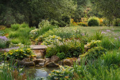 The dreamy rill