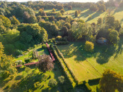 Morning light above the lime avenue