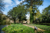 Arundel Castle historic stew ponds