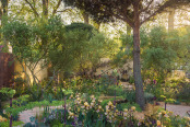 The Nurture Landscapes Garden