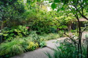 Courtyard garden designed by Pollyanna Wilkinson