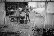 Gardeners at Work, Waterperry