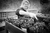 Gardener at Work, Garden Centre, Waterperry