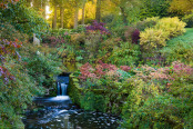 Waterfall and Dark Pool at Hodnet Hall