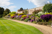 Herbaceous Border, Summer