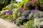 Herbaceous Border