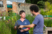 At Work in the Garden Centre