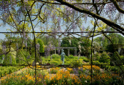 Waterperry Wisteria Arch