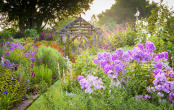 Shropshire Garden