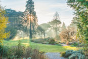 Cambridge Botanic Gardens in December