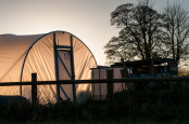 Dusk on the Allotment