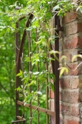 Garden Gate