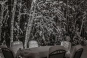 Quiet night in the garden.