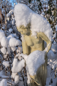 Really big snow in the garden...