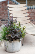 Using Herbs in a Contemporary Setting