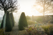 Misty March morning, Wiltshire