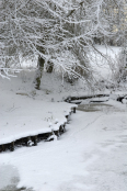 Footprints over the ice