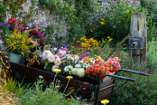 The flower barrow