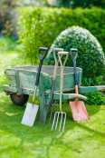 Garden tolls and vintage wooden wheelbarrow