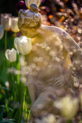 Lady in tulips