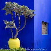 Jardin Majorelle, Marrakech