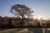 Sunrise at Hanham