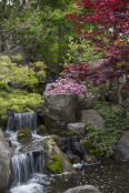 Spring Cascade