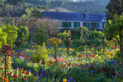 Claude Monet's house and garden in springtime