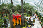 Gardens by the Bay 