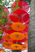  Chinese Paper Umbrellas