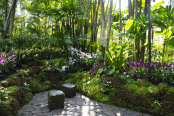 A quiet spot for two surrounded by orchids and ferns