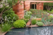 Joe Swift Garden