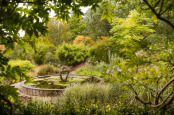 Knoll Gardens