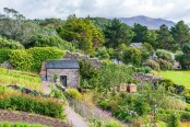 Scottish garden