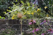 Sculpted seed head