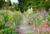 The terrace border at Malverley's