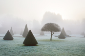 Atmospheric morning at Newstead Abbey