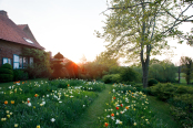 Sunset in Le Jardin du Mont des Recollets