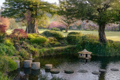 Stepping through the Stew Pond