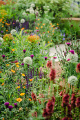 RHS Bee Garden designed by Joe Swift